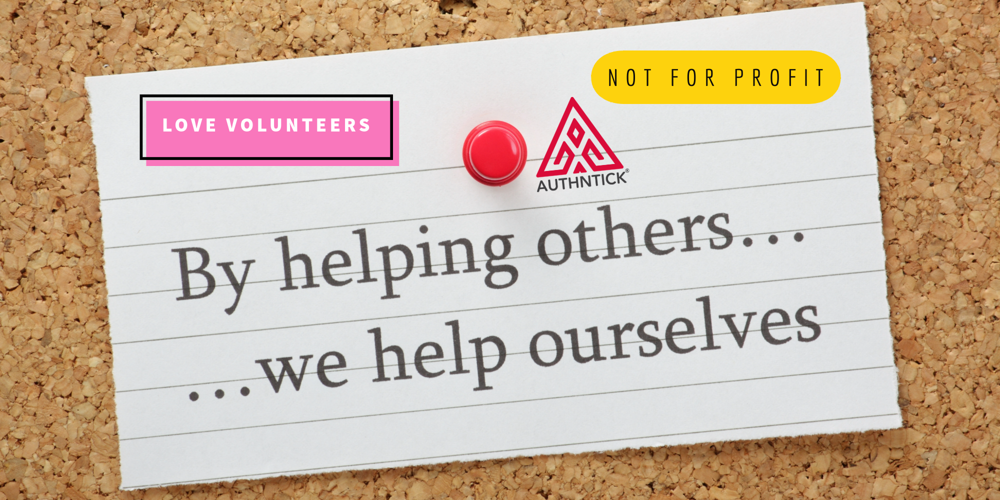 Volunteer Checks